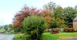 Beer Garden at The Blue Bell Inn, Newbiggin, Brampton