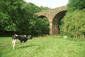 Crowdundle Viaduct, Near The Blue Bell Inn, Newbiggin